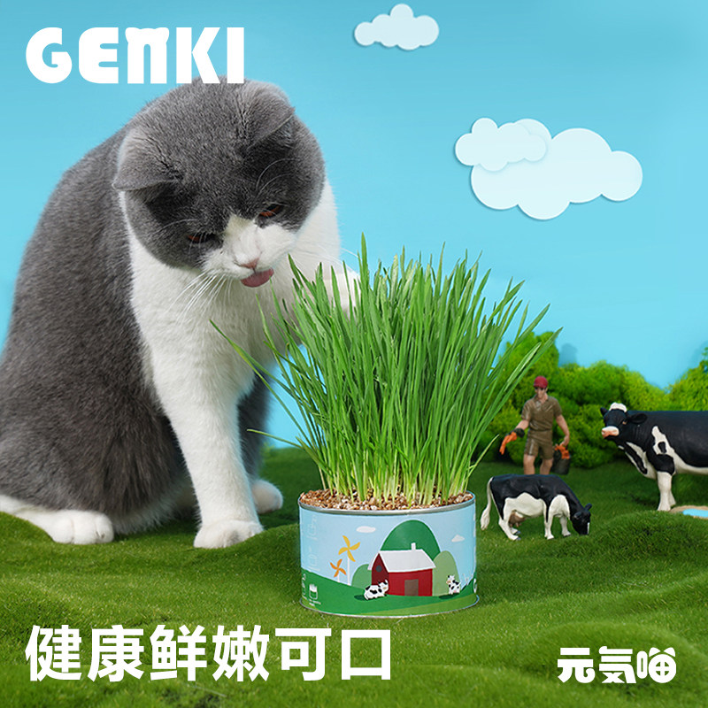 元気喵丨zeze猫草罐头猫薄荷猫咪零食化毛调理肠胃猫咪去毛球用品,宠物/宠物食品及用品,猫零食罐,淘宝优惠券,粉丝福利购,淘宝优惠卷