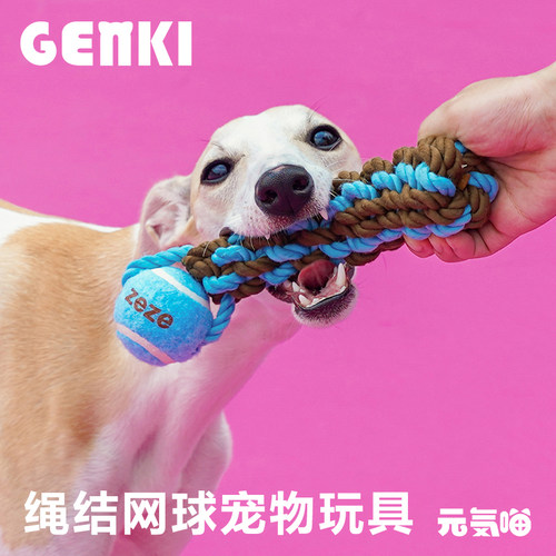 磨牙互动洁齿耐咬解闷自嗨狗玩具