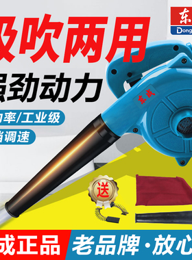 东成吹风机鼓风大功率工业用小型强力220v除尘电脑清灰电动吹灰枪