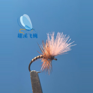 蓑羽CDC摇蚊18号 飞钓有刺干式毛钩飞蝇钓马口溪哥白条鳟鱼