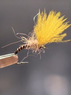 飞钓CDC彩色摇蚊飞钓用饵 干式毛钩飞蝇钓马口溪哥白条鳟鱼等有刺