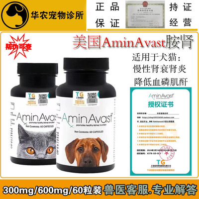 美国aminavast胺肾宠物犬猫肾衰