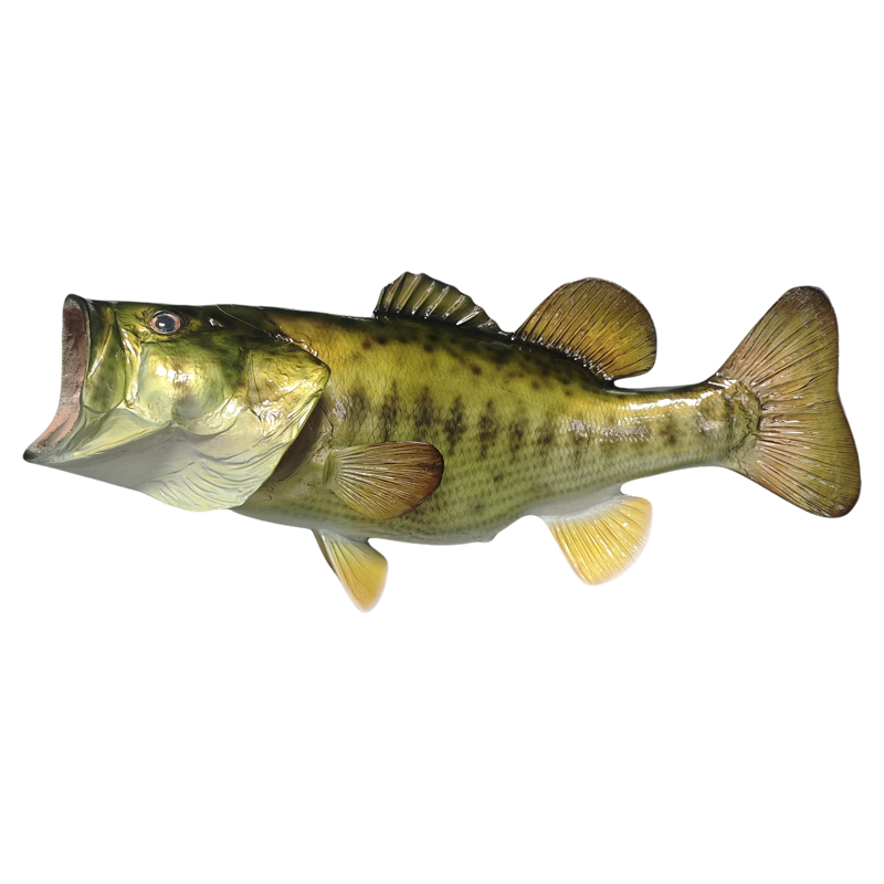 新款跨境海洋生物大嘴鲈鱼仿真海装饰摆件