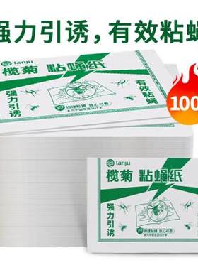 【抢正品苍蝇贴】广州榄菊粘蝇纸粘苍蝇板粘蝇胶灭蝇苍蝇贴防潮