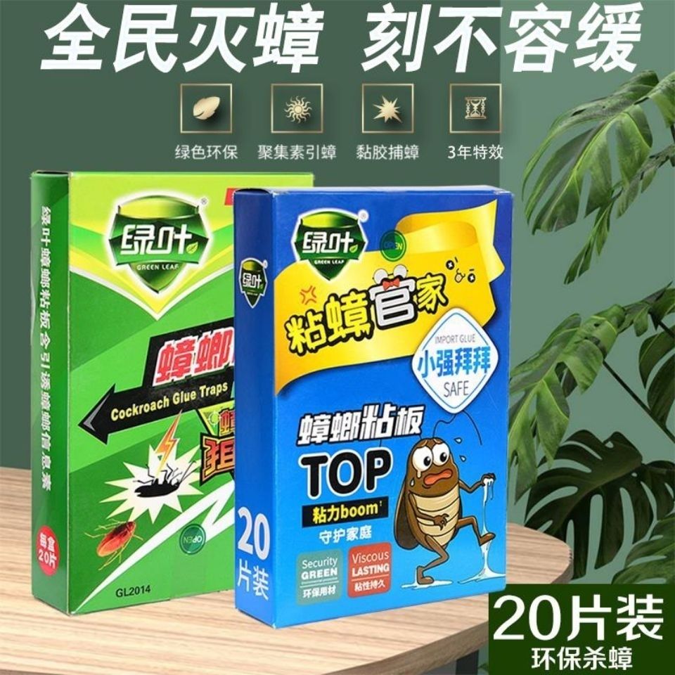 绿叶蟑螂粘板蟑螂屋粘捕蟑螂蟑螂粘板一盒20片（三盒包邮）
