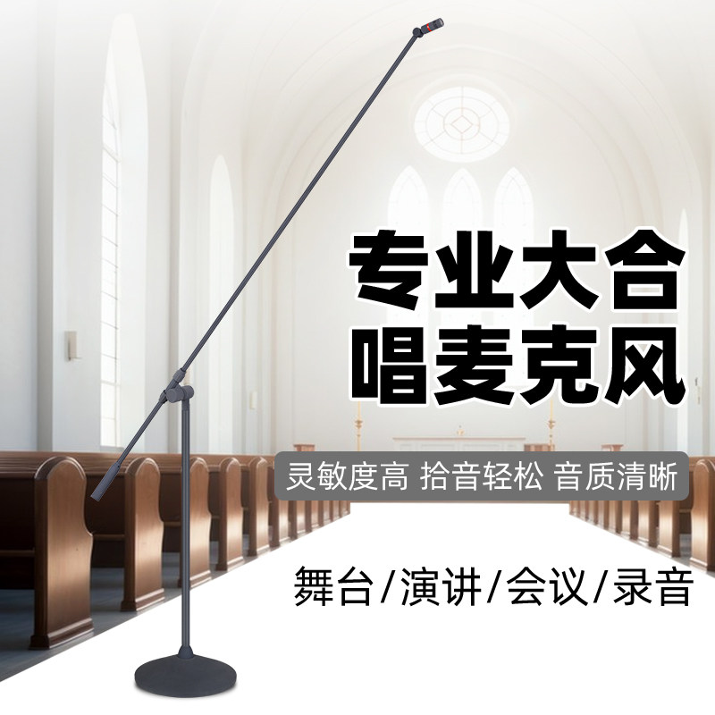 有线麦克风大合唱远拾音立式双杆演讲话筒剧院演唱电容麦礼堂舞台