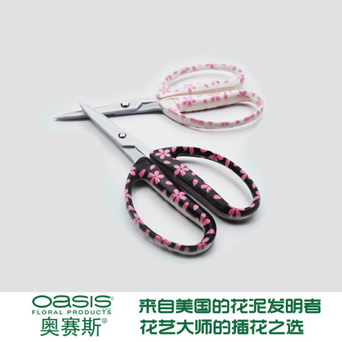 奥赛斯精选本进口近正花店大嘴鸟