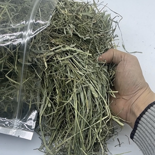 精筛多叶特级美国提摩西草软口感龙猫兔子荷兰猪磨牙美提干草