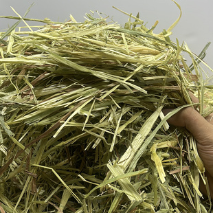 3A黄金澳洲燕麦草50斤100斤草垛龙猫兔子荷兰猪兔兔澳麦草WSC31+