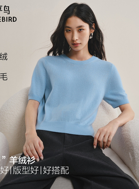 【商场同款】太平鸟25冬三好羊绒混纺正肩短袖针织衫新A1EEF4176