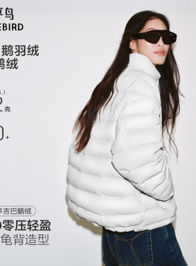 太平鸟15D霍尔多巴吉鹅绒服女
