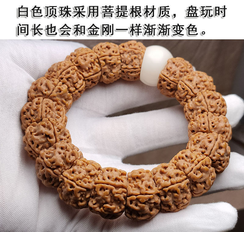 클래식 팬 VAJRA VAJRA CIRCLE 네팔 보리 씨앗 폭발성 이중 용 티베트 불교 구슬