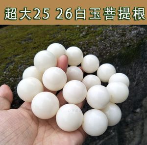 精抛超大号25/26mm菩提根手串