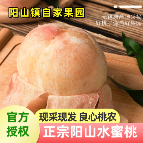 正宗阳山水蜜桃 6只 8只 12只装官方授权桃农 自家果园 现摘现发