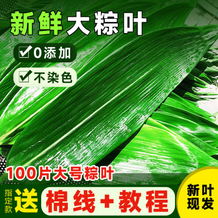 粽叶新鲜包粽子家用大号芦苇叶端午节整箱商用特大箬叶粽子叶包邮