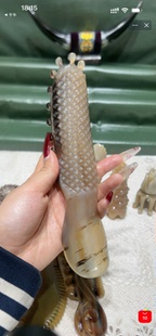 8.8折白水按摩狗 长20-宽4.62-厚0.55