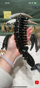 新品88折（超大经络梳）黑水异化弧长27宽6.0厚3.6