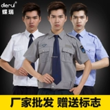 Комплект, рубашка, осенняя униформа для работы