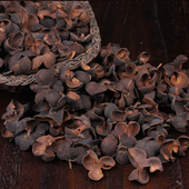 1998年陈广西梧州六堡茶传统工艺古法农家茶老茶果壳茶籽壳可煮饮