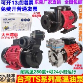 大洲TS 71高温油泵模温机热油循环泵耐高温280°C油泵导热油泵