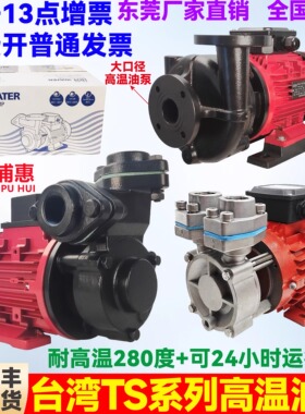大洲TS-63/71高温油泵模温机热油循环泵耐高温280°C油泵导热油泵