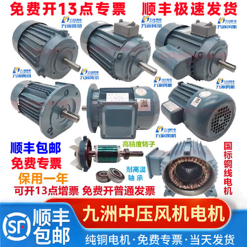 九洲普惠中压风机电机铜线2800转