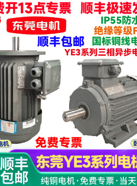 东莞电机YE3系列高效率三相异步电动机电动马达节能电机东莞环球