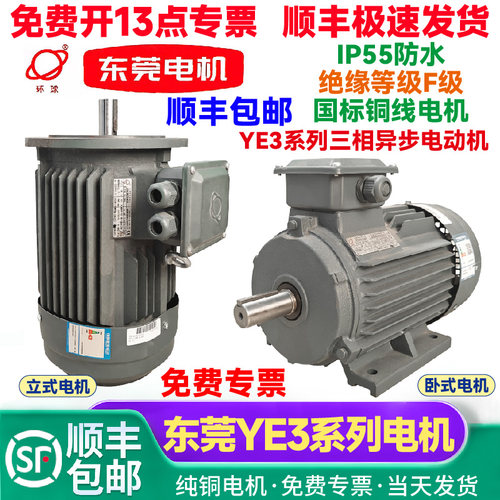 东莞环球东莞电机YE3高效率三相