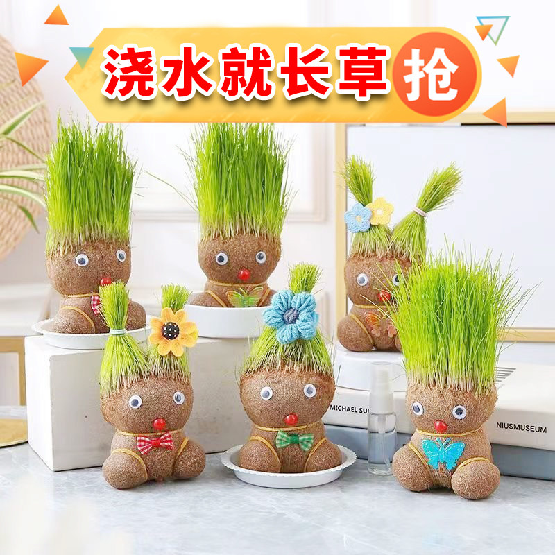 头上长草娃娃水培植物儿童创意种植小盆栽抖音同款绿植幼儿园观察