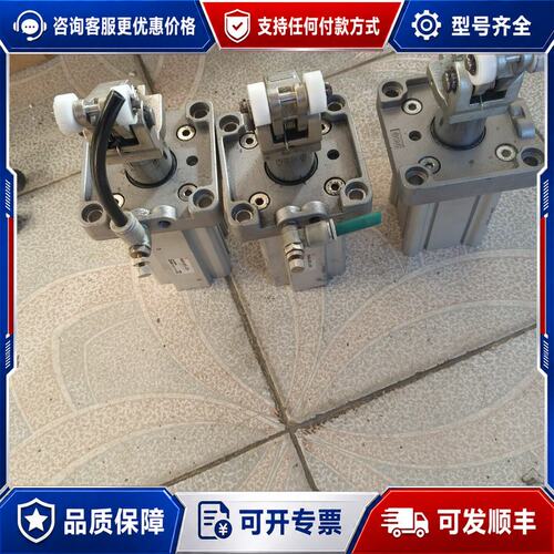 议价气缸RSA50-30TL-X721，1.0MPa:2个可维修