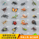 实心仿真昆虫模型玩具蜻蜓七星瓢虫蝴蝶蜘蛛蚂蚁蜜蜂蝎子儿童认知