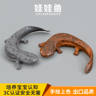 实心儿童仿真动物玩具动物模型娃娃鱼山椒鱼大鲵两栖认知礼品摆件