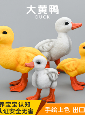 儿童仿真动物玩具仿真动物模型 鸭子小黄鸭Duck家鸭认知礼品摆件