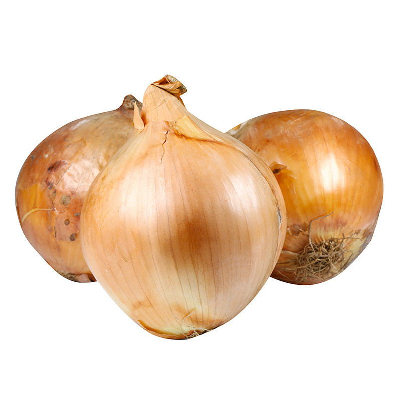 黄皮洋葱新鲜大洋葱头白心圆葱黄葱山东农家自种现挖蔬菜整箱包邮