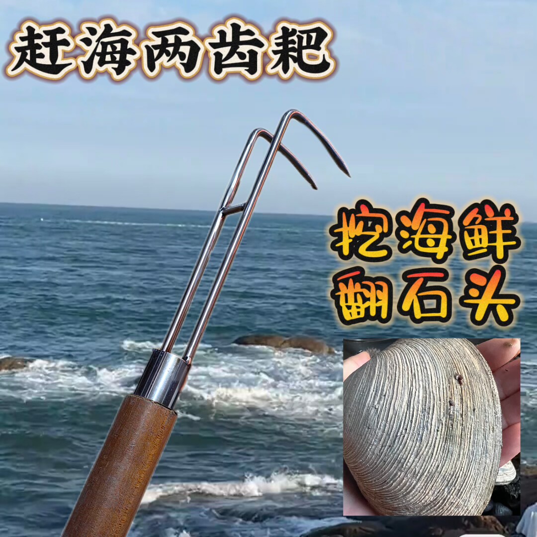 赶海挠  两齿耙 挠大噶 不锈钢 不变形 二指挠  赶海工具推荐