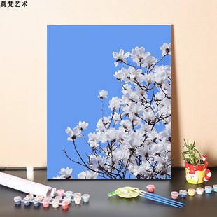 数字油画diy手工填色清新玉兰花风景画手绘消磨时间涂色油彩画画