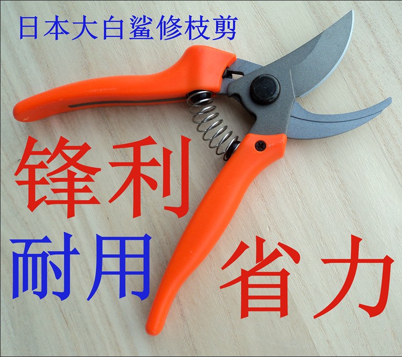 日本进口DB-102果树剪果枝剪刀花剪子修枝剪茶园剪园艺修枝剪包邮