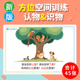 方位认知卡片空间泛化训练看图回答问题蔬菜水果自闭症儿童教具