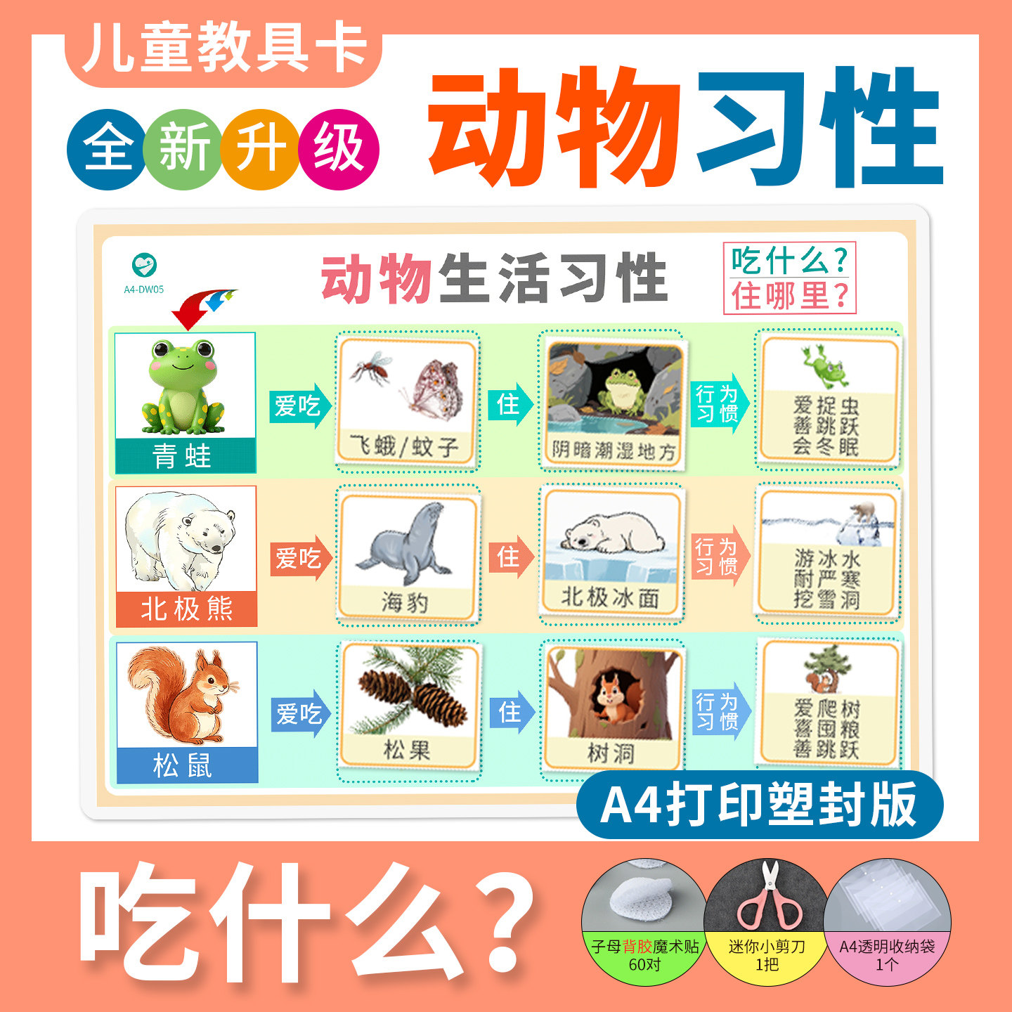 动物习性吃什么住哪里食物配对卡片幼儿园小班玩具儿童益智教具