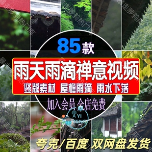 下雨天雨滴禅意禅心古寺视频屋檐雨水水滴落竖屏风景唯美清新素材