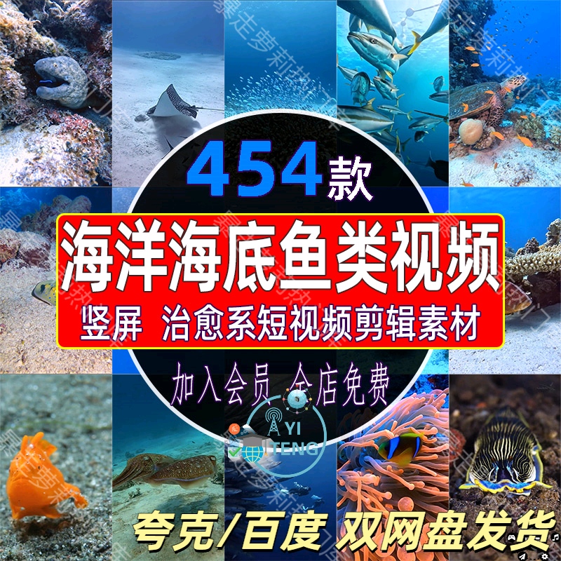 国外治愈系海底世界海洋生物鱼类珊瑚风光竖版解压实拍短视频素材