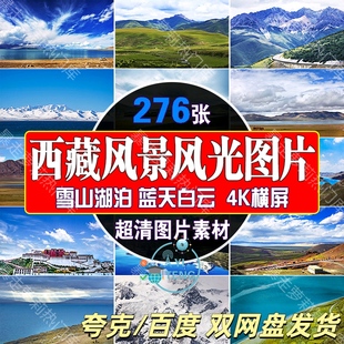 4k西藏风景美景图片雪山布达拉宫湖泊蓝天白云草原风光旅游素材