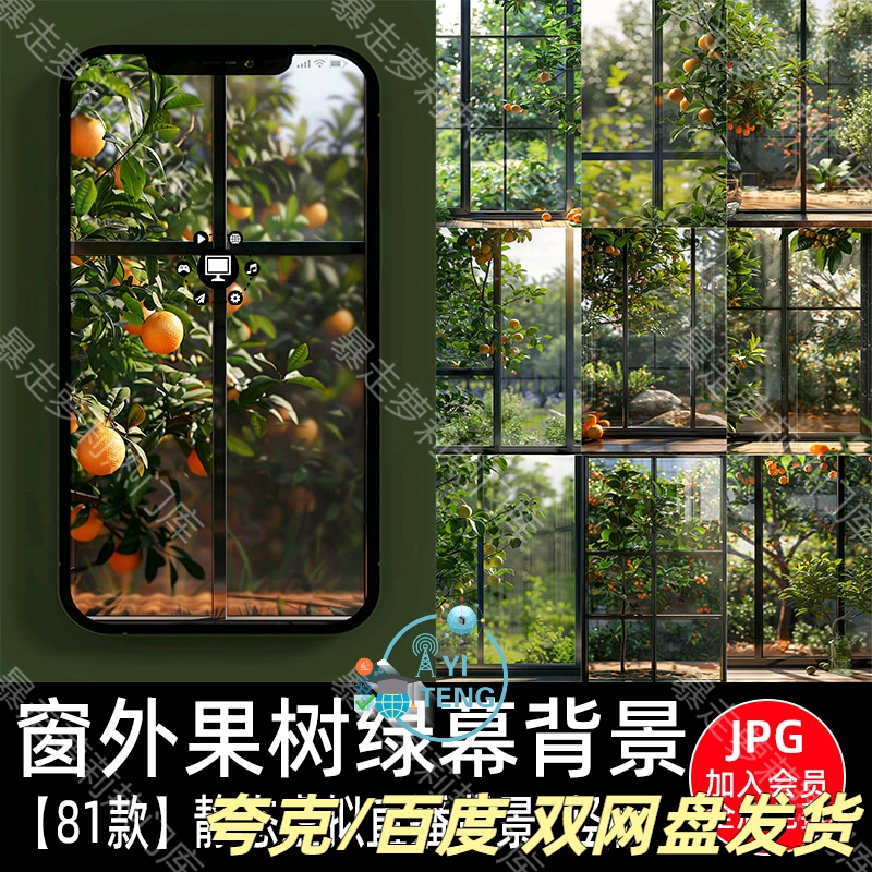 落地窗水果果园橙子脐橙果树场景抖音绿幕直播间背景竖屏图片素材