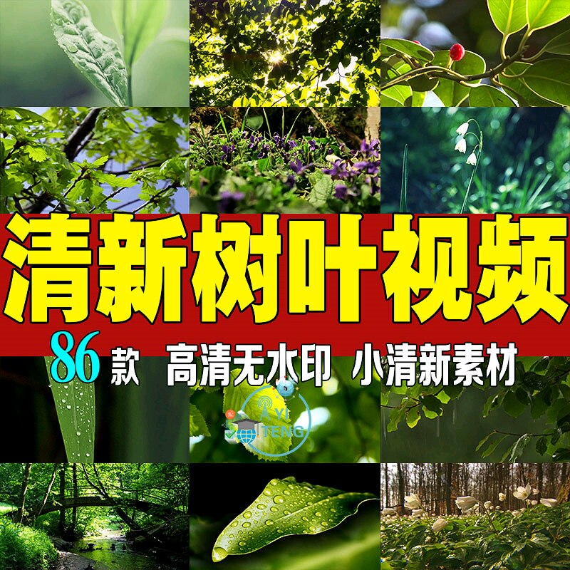 小清新树叶树林绿叶素材大自然唯美景色自媒体抖音高清实拍短视频
