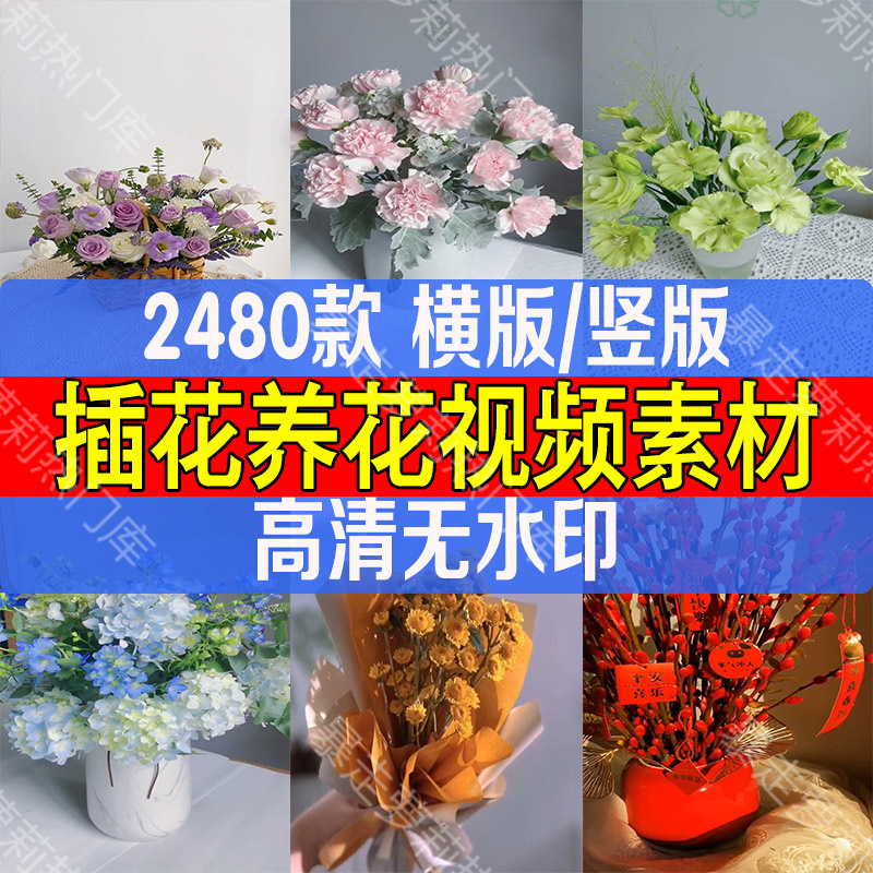 插花养花唯美高清无水印短视频素材抖音快手热门剪辑自媒体视频