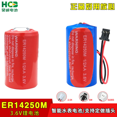 昊诚ER14250M锂电池3.6V电子标签温控烟感器胰岛泵无线探头功率型