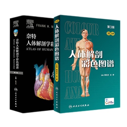 奈特人体解剖学图谱 第七版人卫彩色局部耐特系统格氏骨骼结构神经临床基础教材生理外科内科法医解刨解破医学类医学书籍解剖图谱
