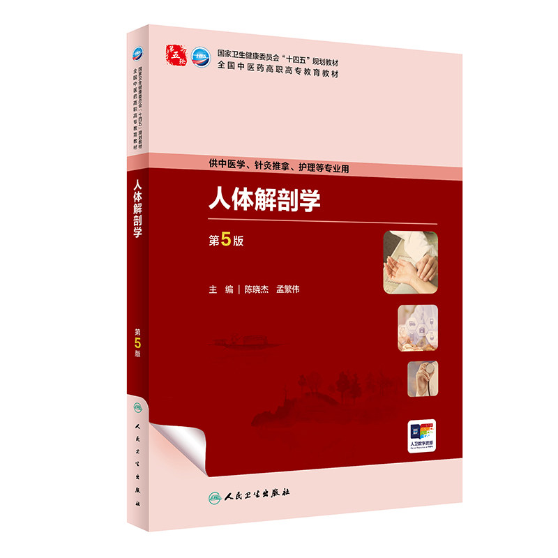 人体解剖学第5版人卫内科方剂针灸养生儿科护理外科推拿习题集骨伤经络腧穴中西医临床高职医学自学入门教材诊断中药中医基础理论图片