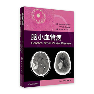 脑小血管病 社脑卒中神经影像学临床参考书脑小血管病学 黄勇华石文磊主译内科学实用手册病理脑血管病9787117269964人民卫生出版