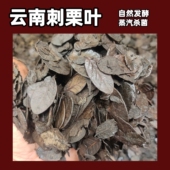 云南传统植料小刺栗叶兰花土君子兰腐叶土兰花专用土兰花刺栗叶